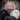 THERMAL X BEANIE COLLECTION